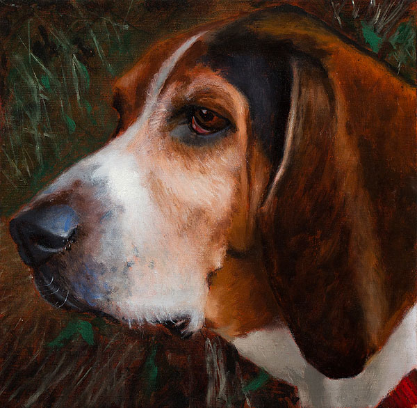 "Rufus in the Field" by Tom Mason